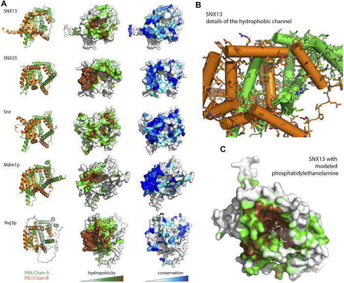 FIGURE 4