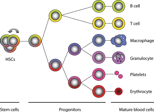 Fig. 1