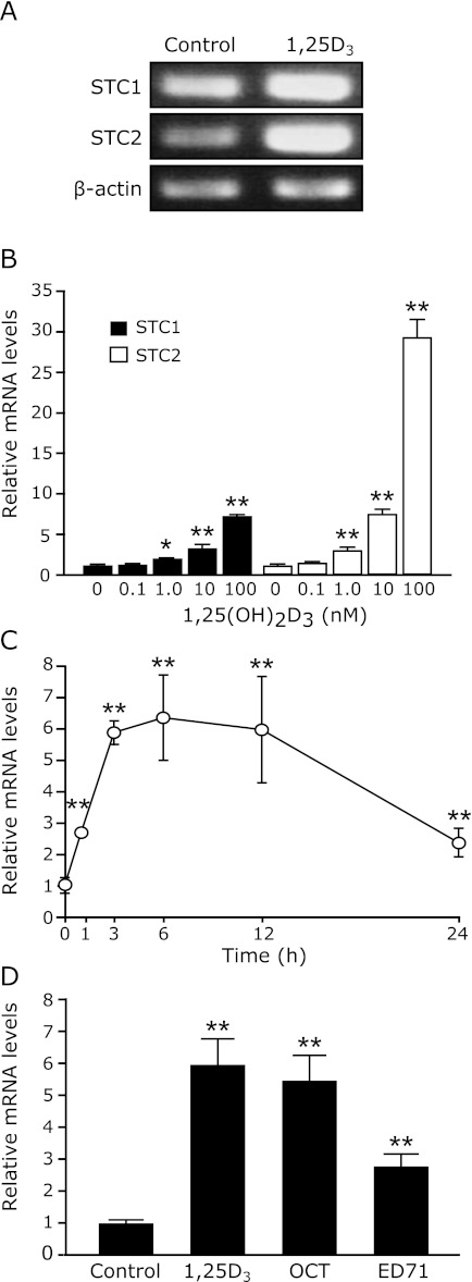 Fig. 2