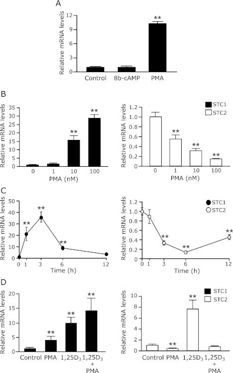 Fig. 4