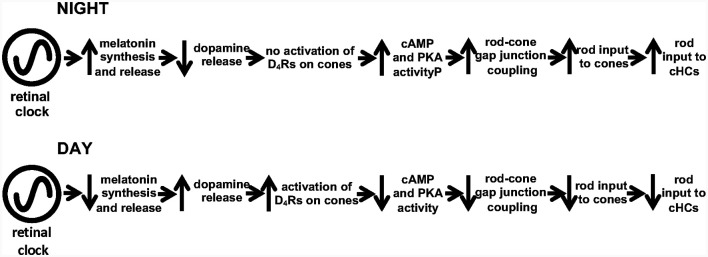 Figure 14