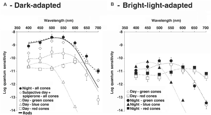 Figure 12