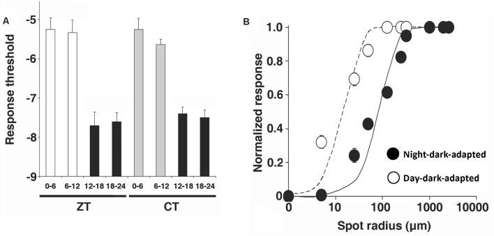 Figure 13