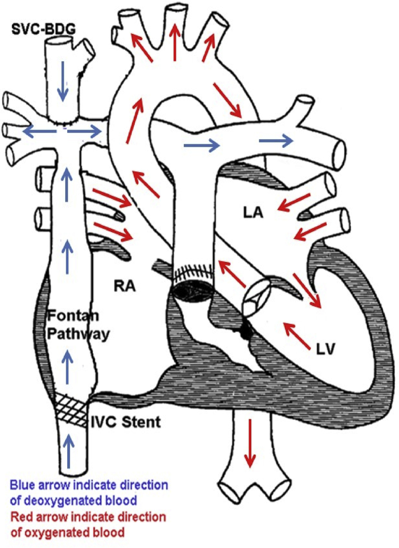 Figure 1