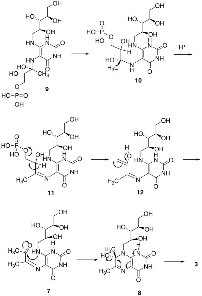 SCHEME 3