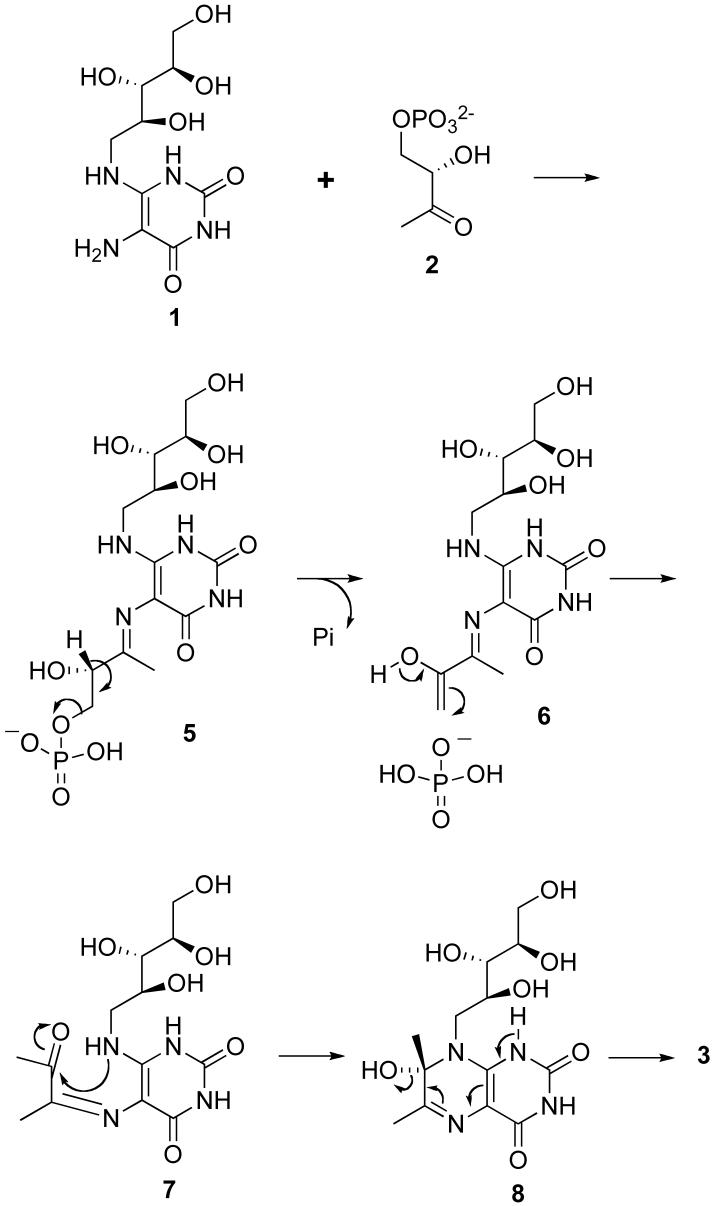 SCHEME 2