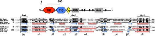 Fig. 1.