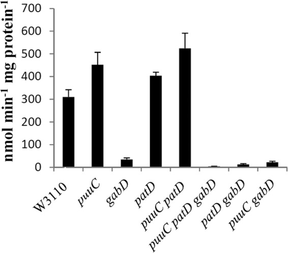 Fig 7