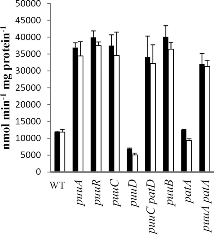 Fig 9