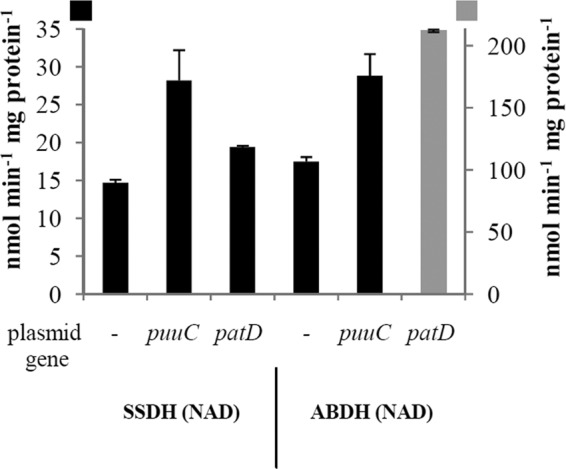 Fig 5