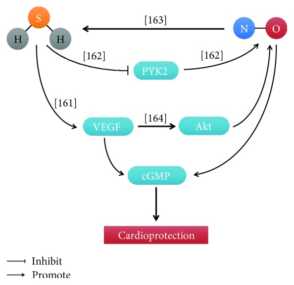 Figure 10