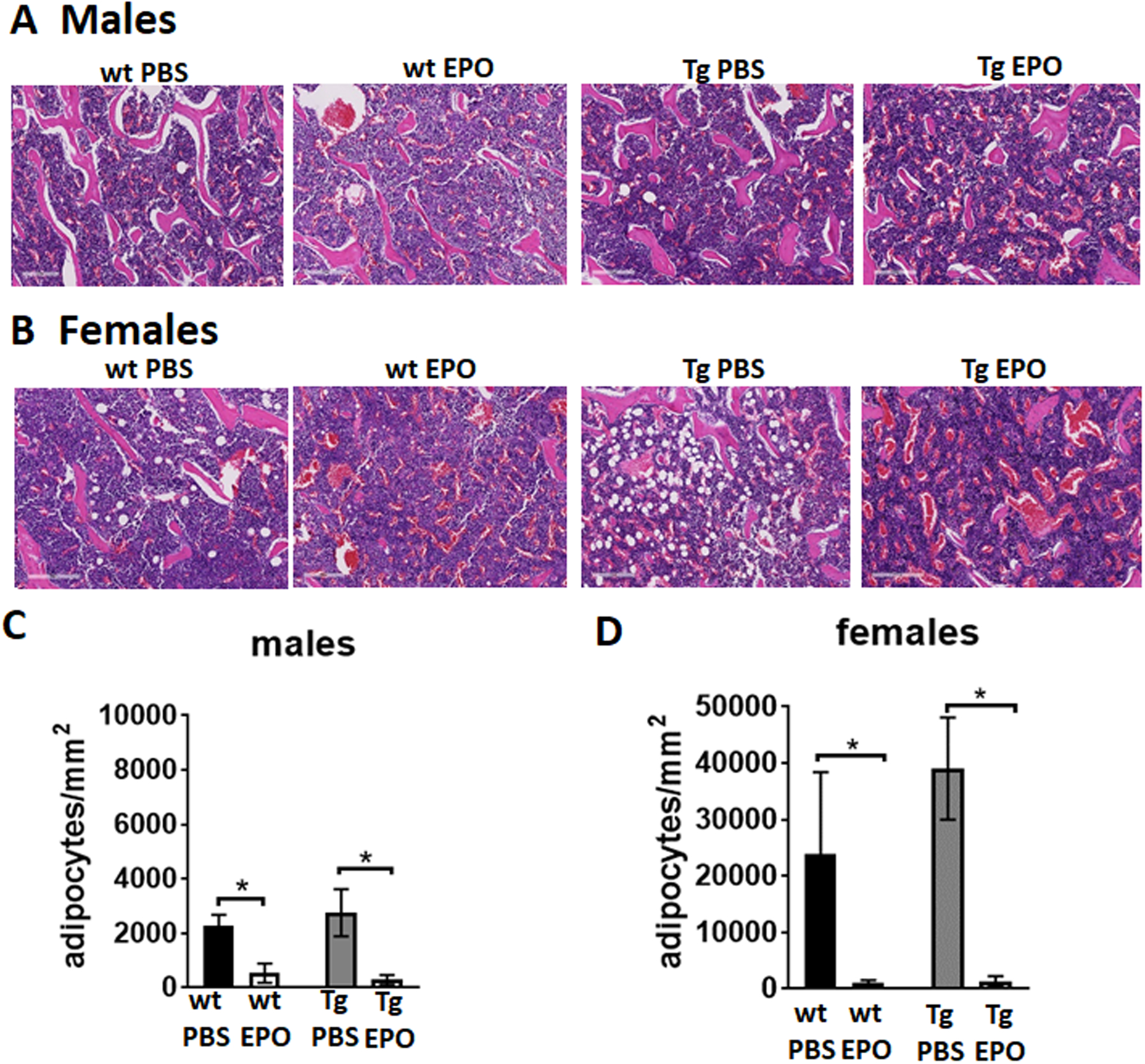 Figure 4: