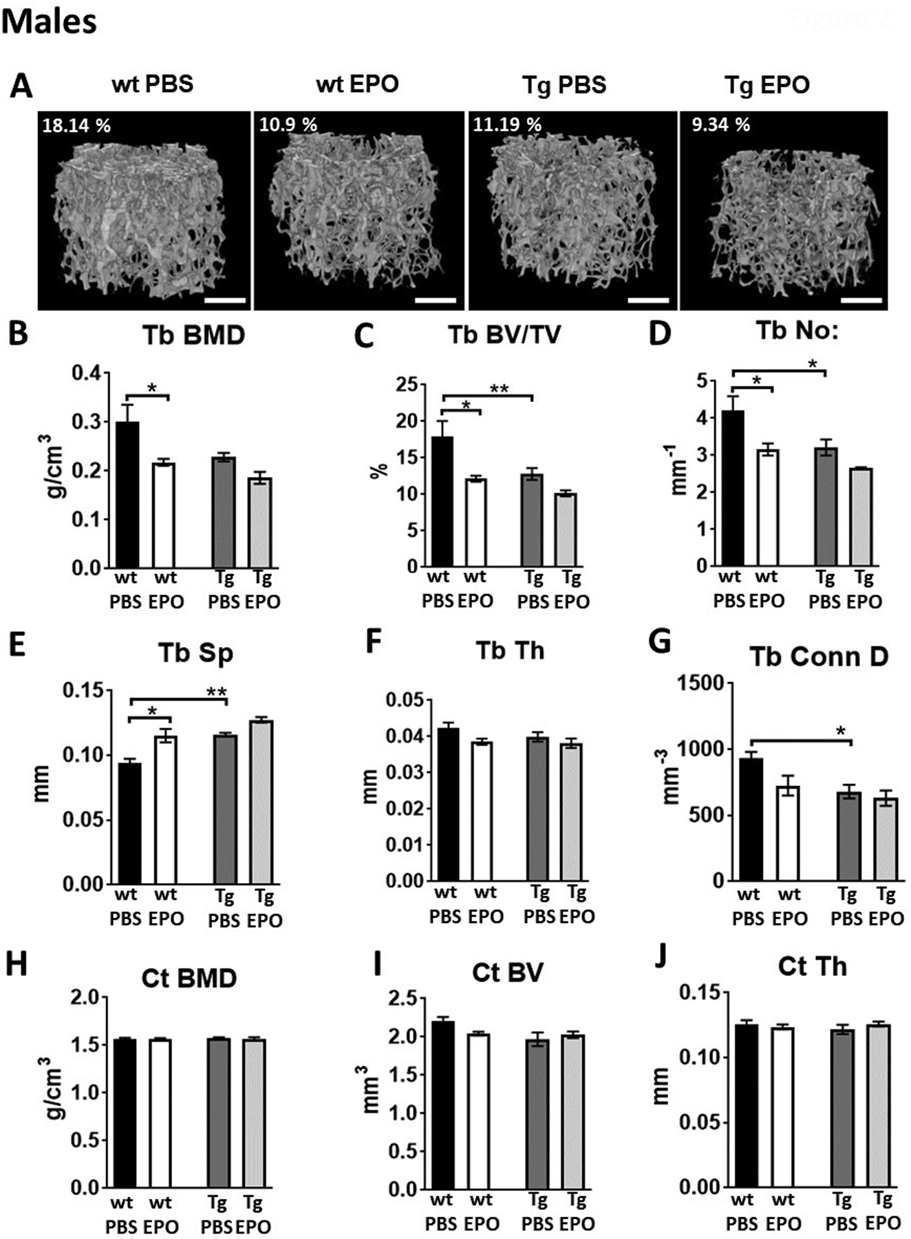 Figure 2: