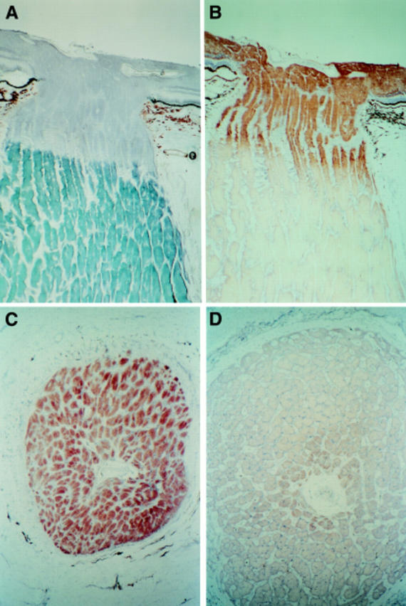 Figure 1  