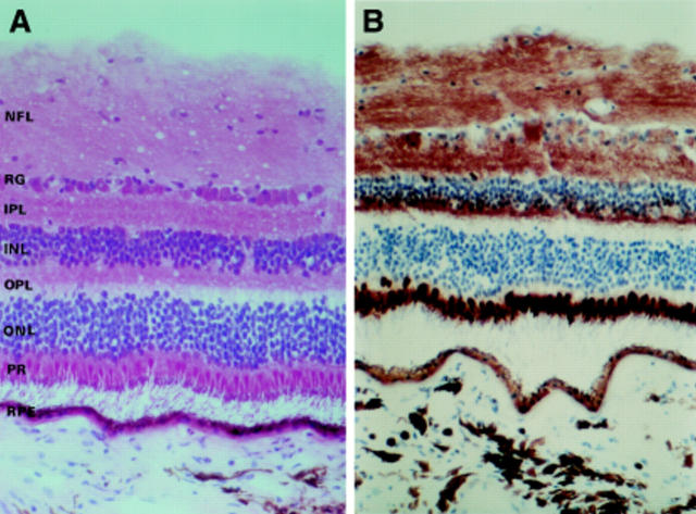 Figure 2  