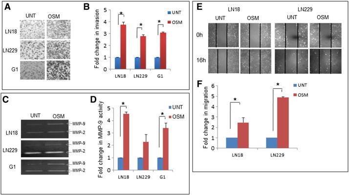 Figure 6