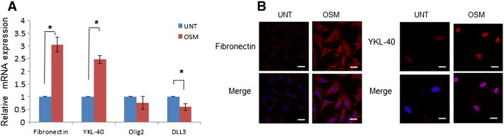 Figure 10