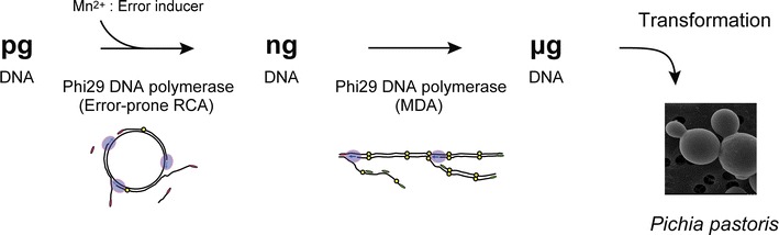 Fig. 1