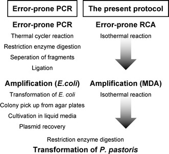 Fig. 6