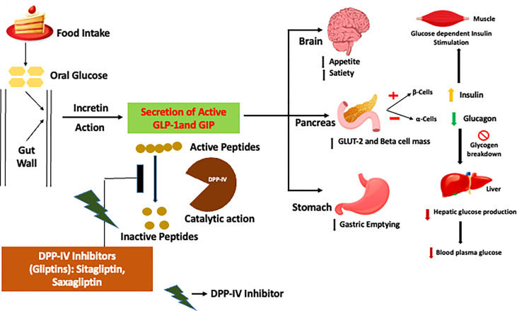 Figure 2