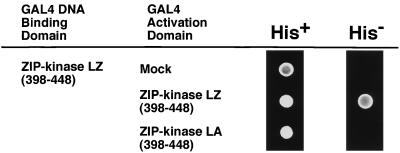 FIG. 6