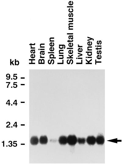 FIG. 3