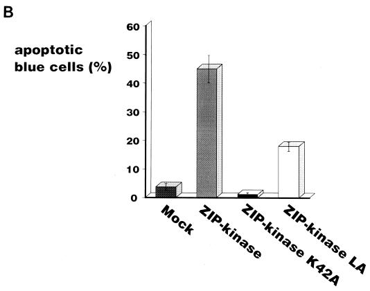 FIG. 9