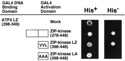 FIG. 5