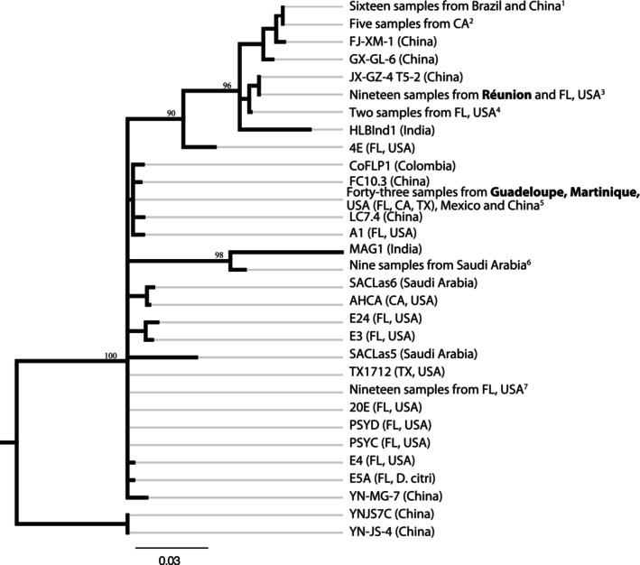 FIGURE 4