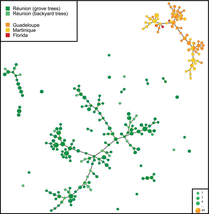 FIGURE 3