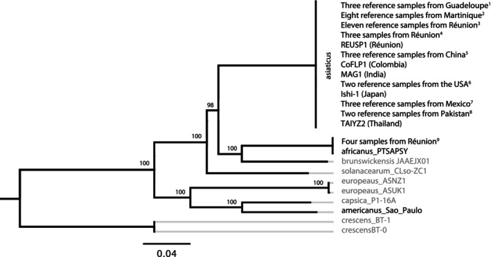 FIGURE 2