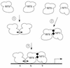 FIG. 9.