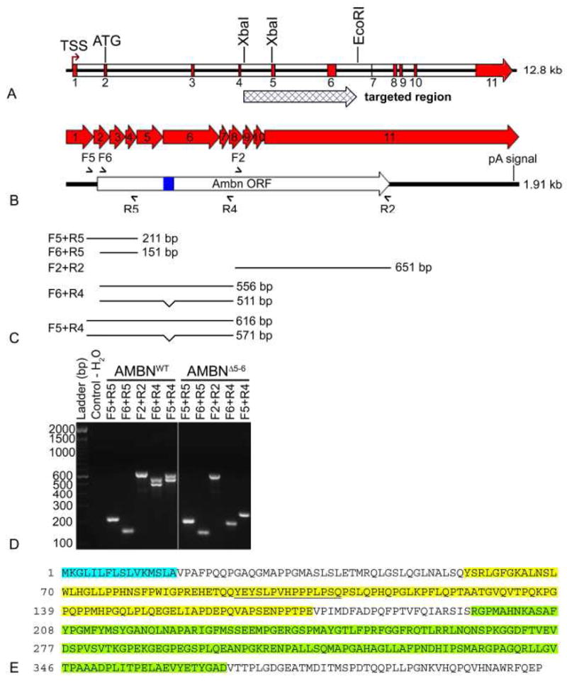 Fig. 10