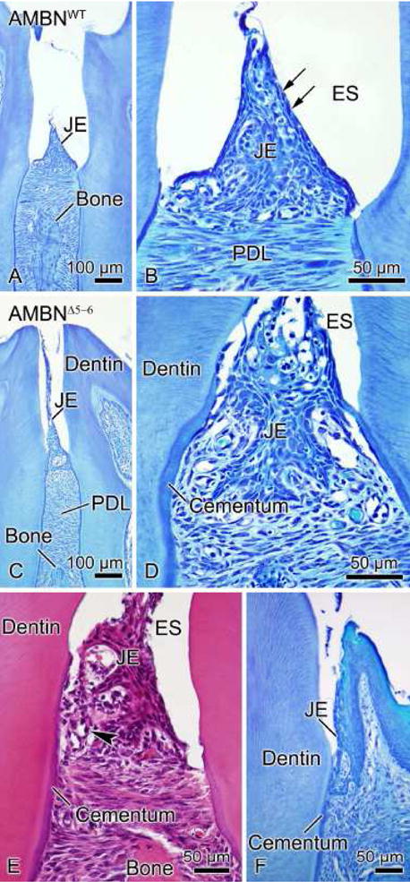 Fig. 12