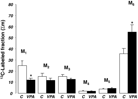 Fig. 6