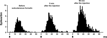 Fig. 4