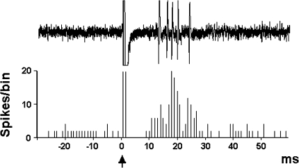 Fig. 2