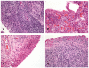 Fig. (2)