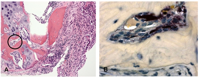 Fig. (3)