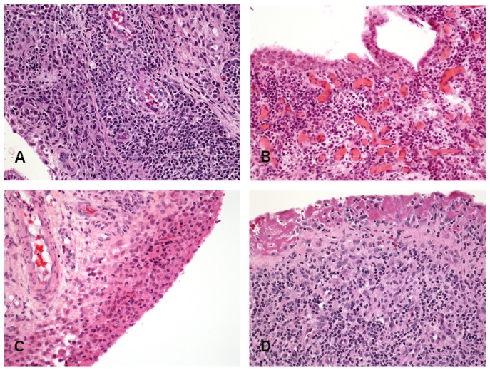 Fig. (2)