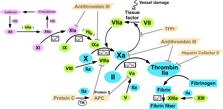 Fig. 1