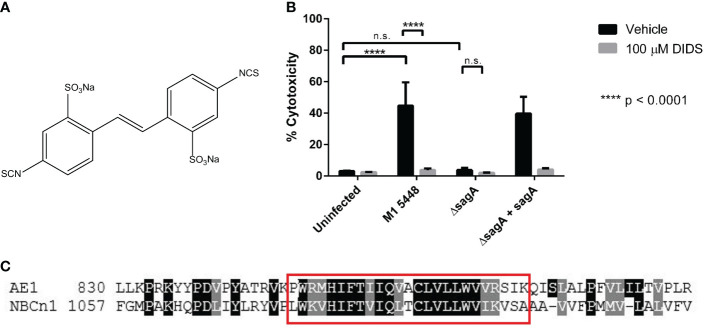 Figure 1