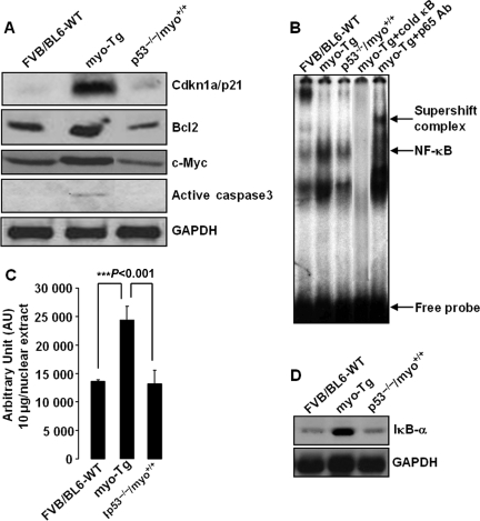 Figure 7