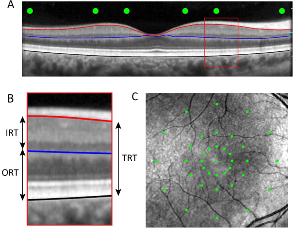 Figure 1: