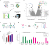 Fig. 2: