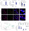 Fig. 4: