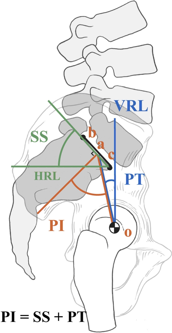 Fig. 1