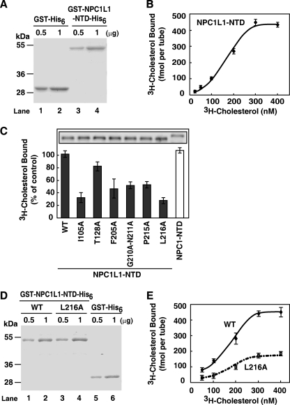 FIGURE 1.