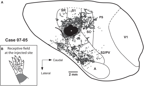 Figure 8