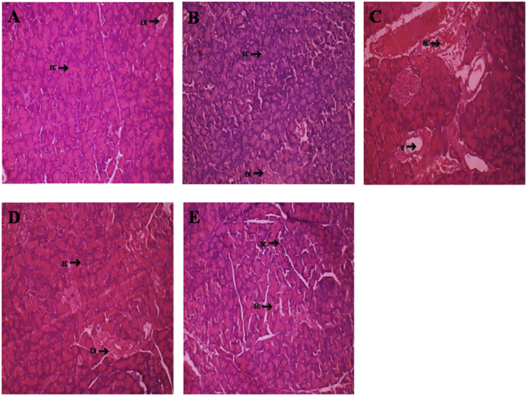 Fig. 9